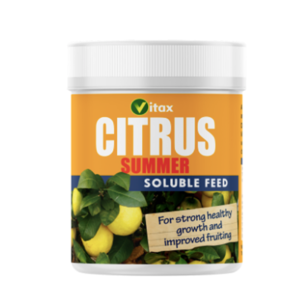 Citrus Feed - Summer