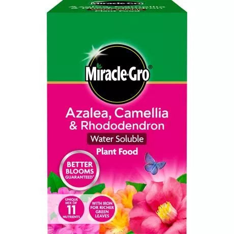 Miracle-Gro® Azalea, Camellia & Rhododendron Soluble Plant Food