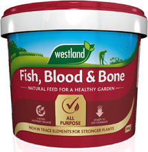 Load image into Gallery viewer, Blood, Fish &amp; Bone
