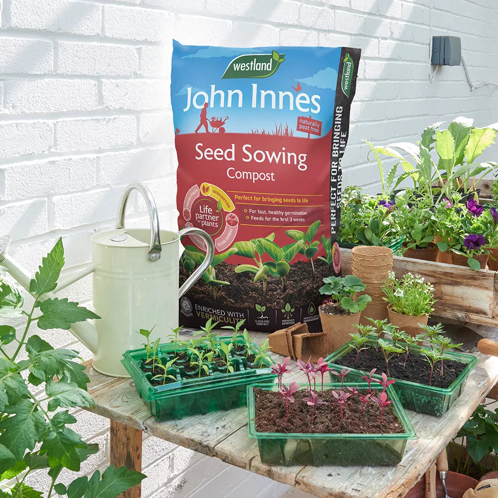 John Innes Peat Free Seed Sowing Compost