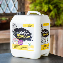 Load image into Gallery viewer, Patio Black Spot Remover - Natural Stone
